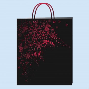 手提袋印刷3 手提袋印刷3